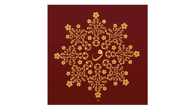 Kar Tanesi Levha (17)