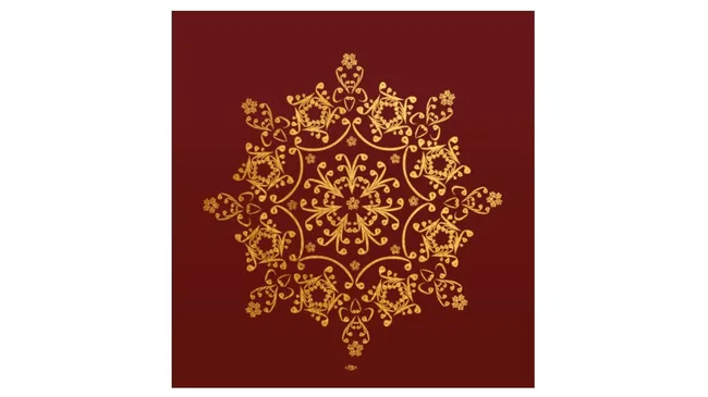 Kar Tanesi Levha (11)